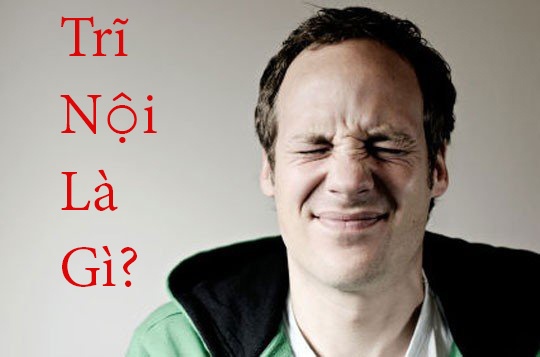 Trĩ nội là gì?