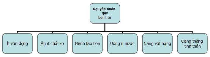 Nguyên nhân gây trĩ nội cần nắm rõ để phòng tránh