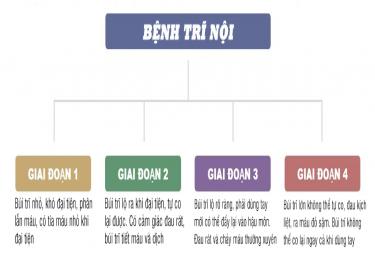 Khám phá các cấp độ của bệnh trĩ nội và giải pháp điều trị từ chuyên gia